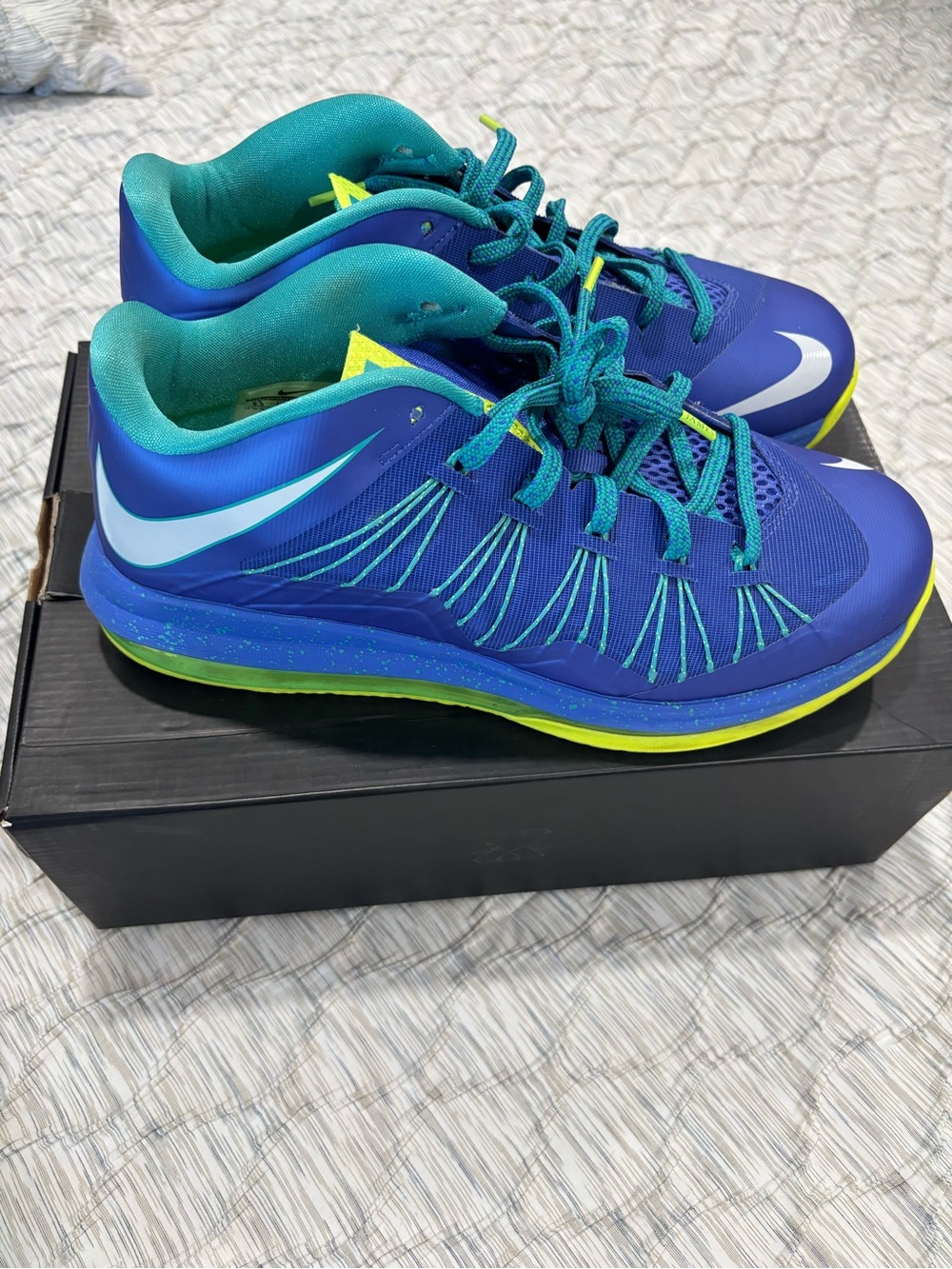 Nike LeBron